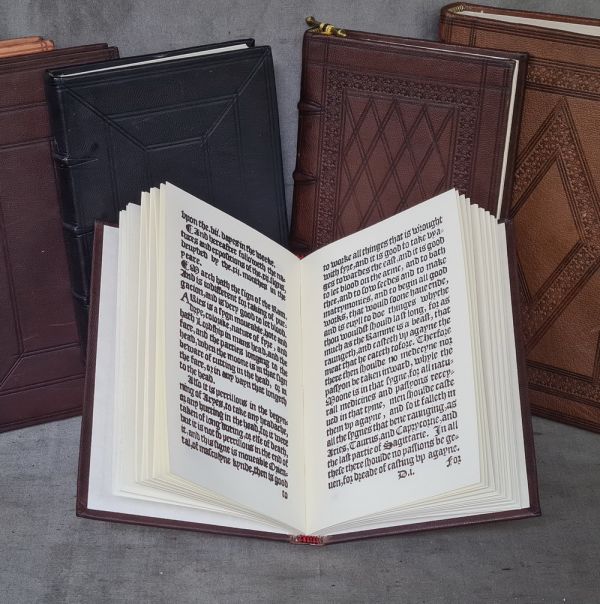 The Mirror or Glass of Health by Thomas Moulton 1566 #3